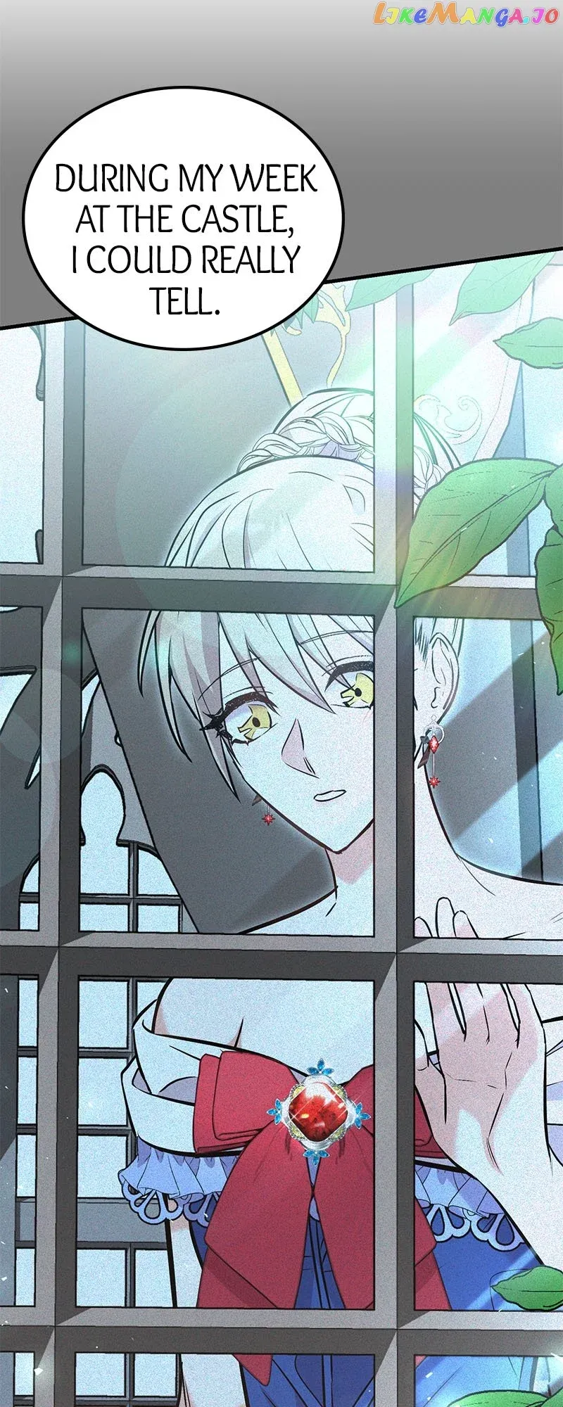 Amelia’s Contract Marriage Chapter 28 page 39