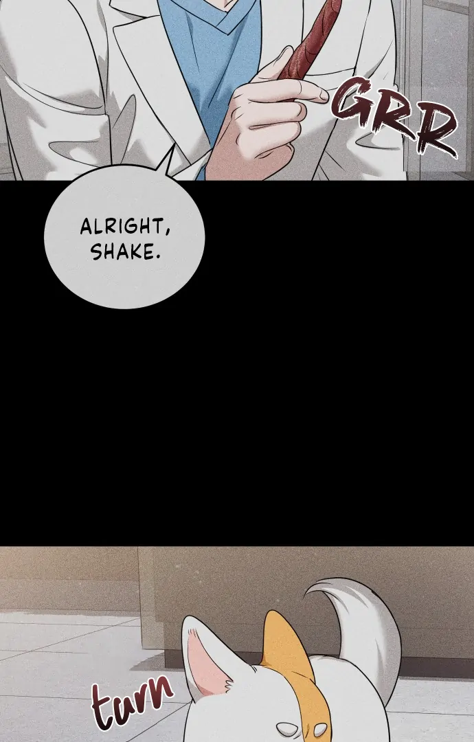 Doggy Romance Chapter 5 page 57