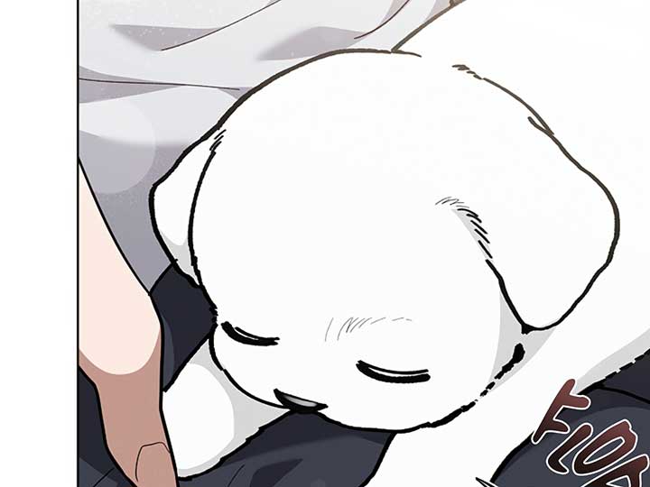 Don’t Mess With the Puppy! Chapter 10 page 147