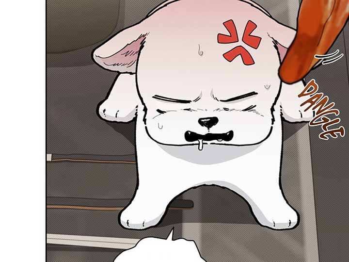 Don’t Mess With the Puppy! Chapter 10 page 95