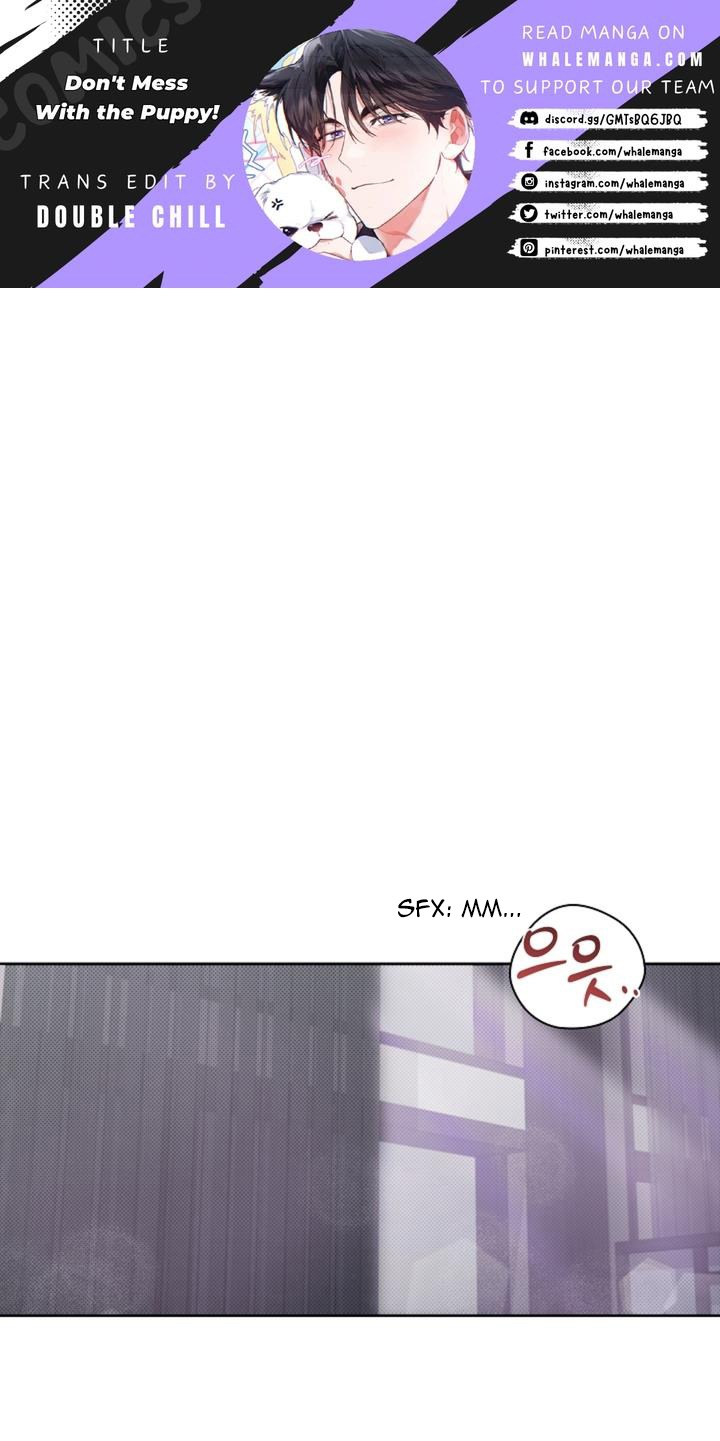 Don’t Mess With the Puppy! Chapter 26 page 0