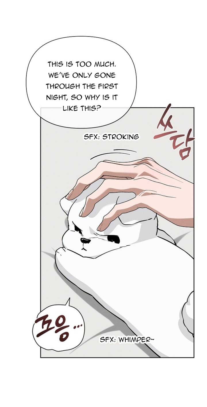 Don’t Mess With the Puppy! Chapter 26 page 56