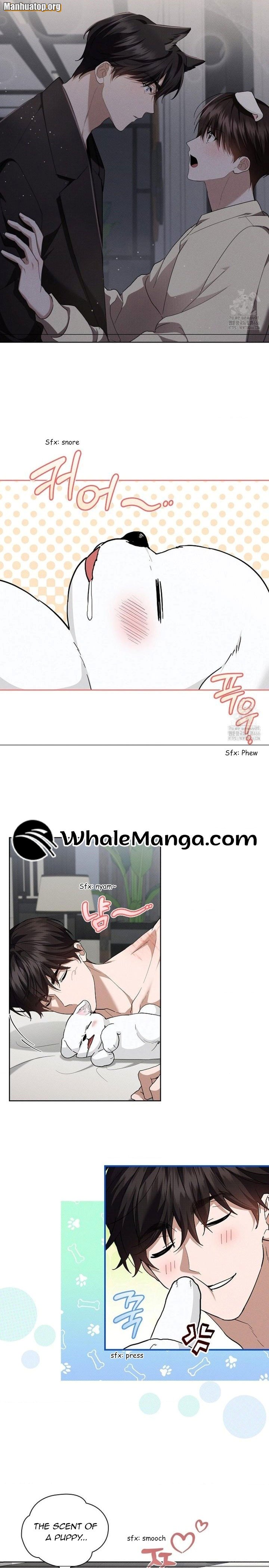 Manga Image