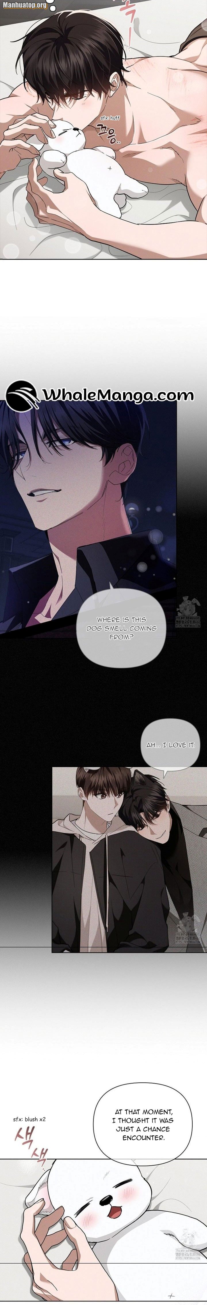 Manga Image
