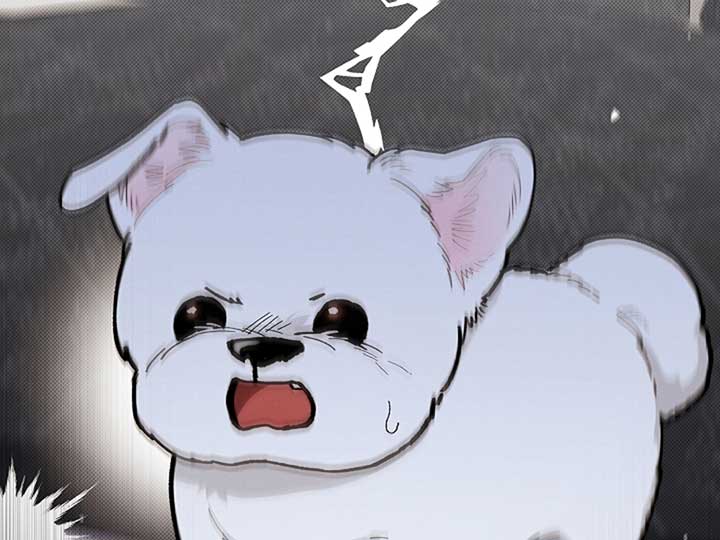 Don’t Mess With the Puppy! Chapter 4 page 12