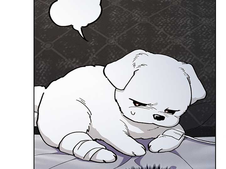 Don’t Mess With the Puppy! Chapter 4 page 21