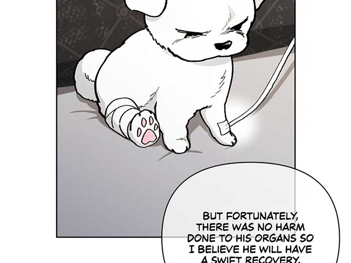 Don’t Mess With the Puppy! Chapter 4 page 4