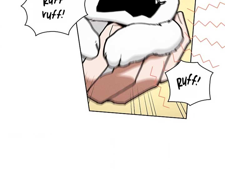 Don’t Mess With the Puppy! Chapter 5 page 169