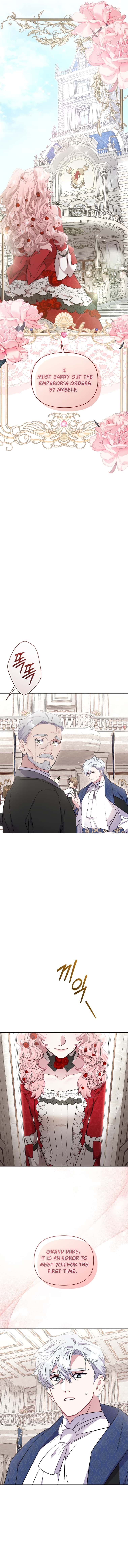 Don’t Worry, We Both Agreed to this Fraudulent Marriage Chapter 16 page 13