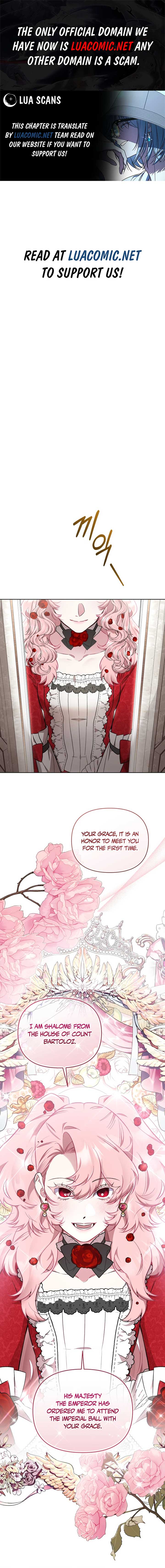 Don’t Worry, We Both Agreed to this Fraudulent Marriage Chapter 17 page 0