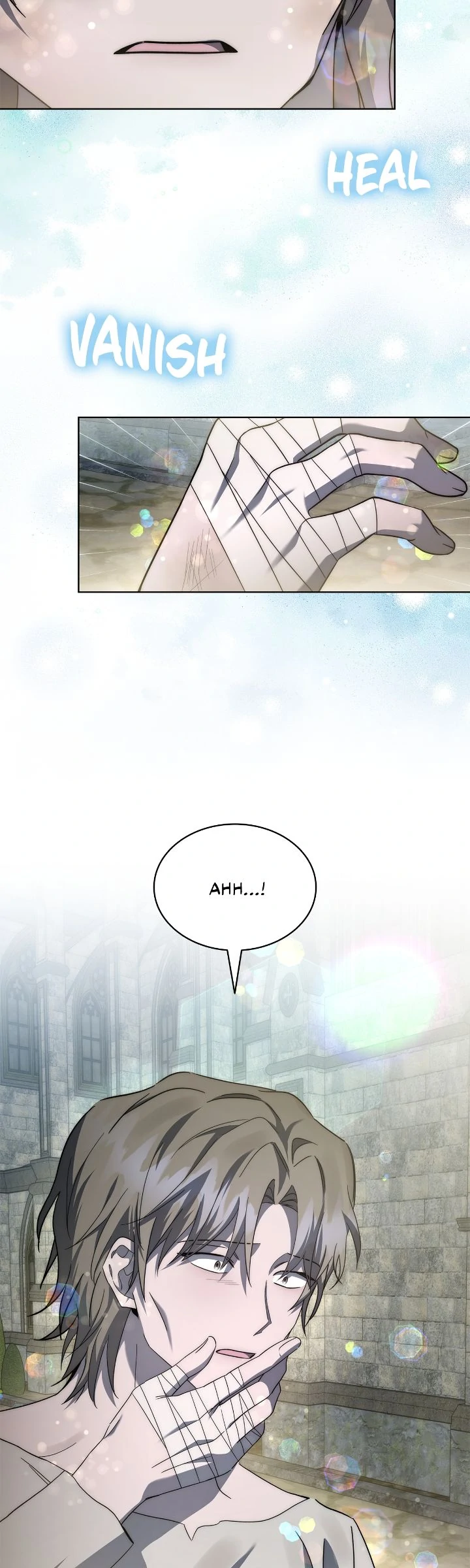 For the Happy Ending of the Tragic Novel Chapter 79 page 47
