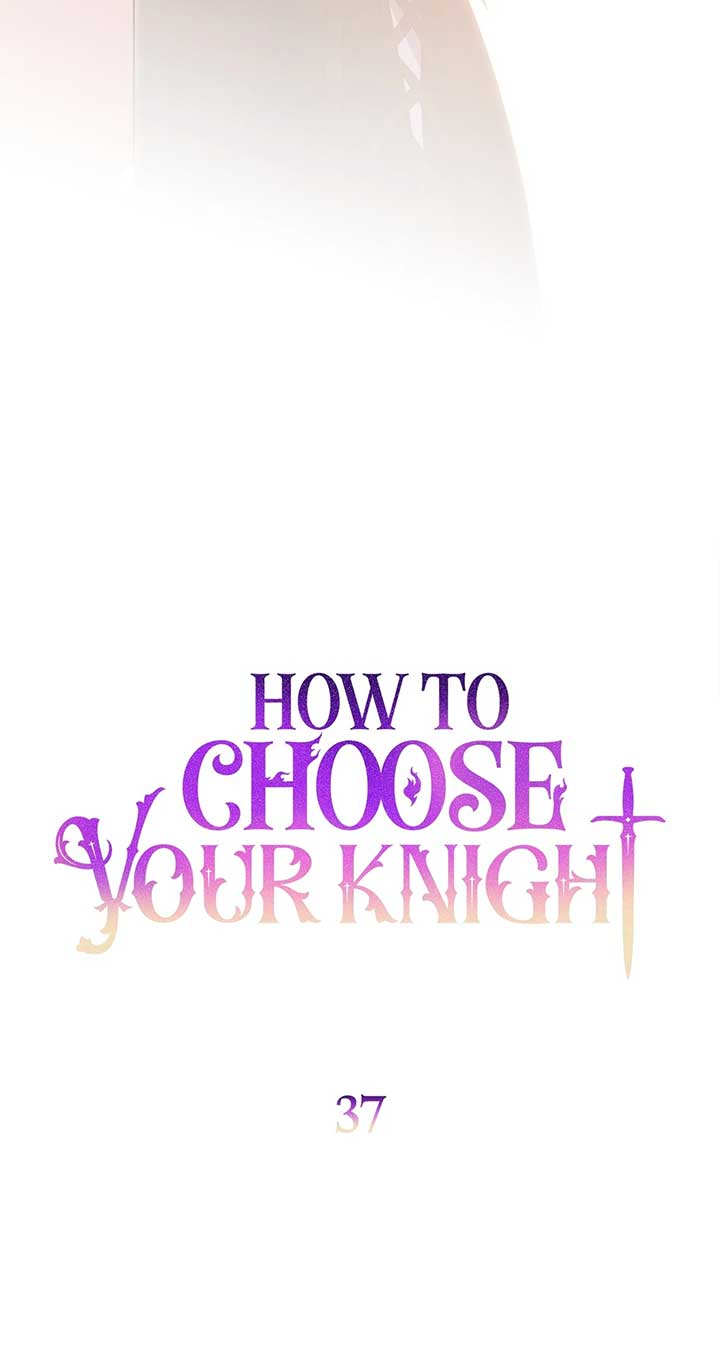 How to Choose Your Knight Chapter 37 page 30