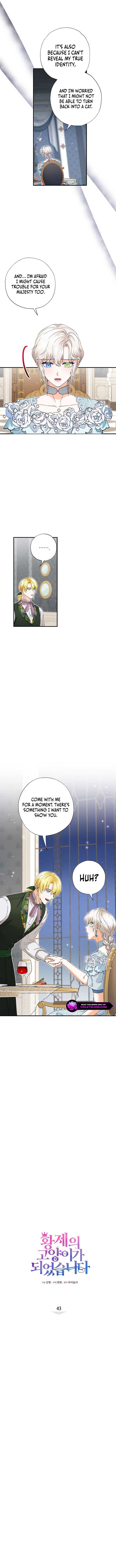I Became the Emperor’s Cat Chapter 43 page 2
