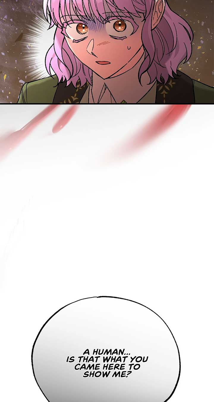 Let Me Kidnap the Male Lead! Chapter 46 page 93