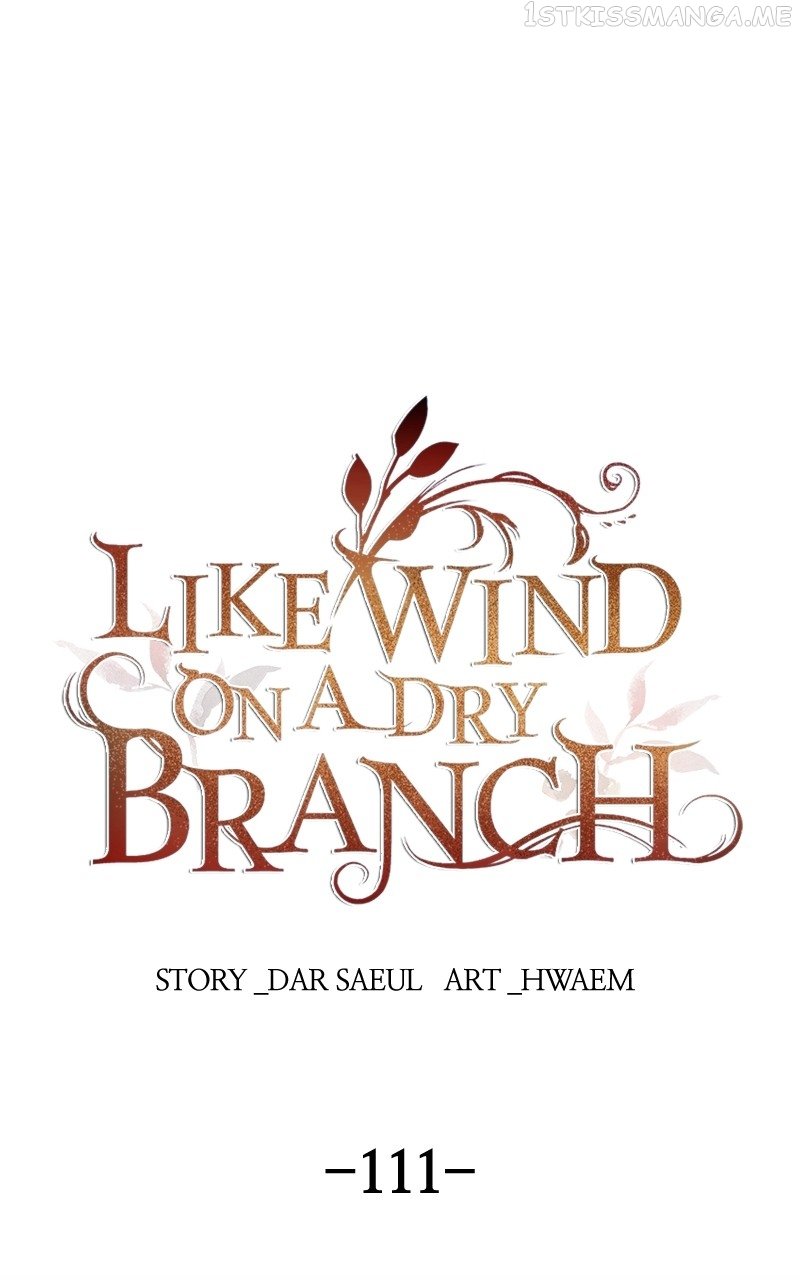 Like A Wind On A Dry Branch Chapter 111 page 0