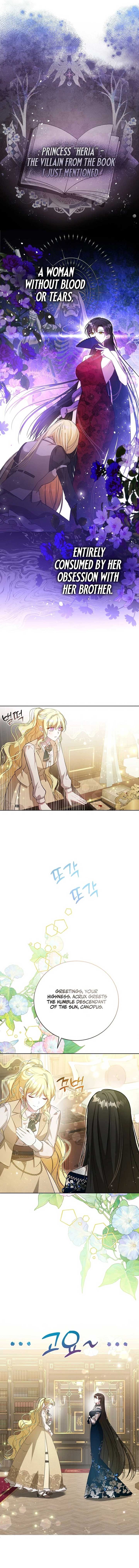 My Sister Is the Main Character Chapter 6 page 1