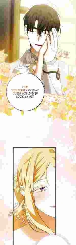 My Wish Is Two Separate Beds Chapter 19 page 38