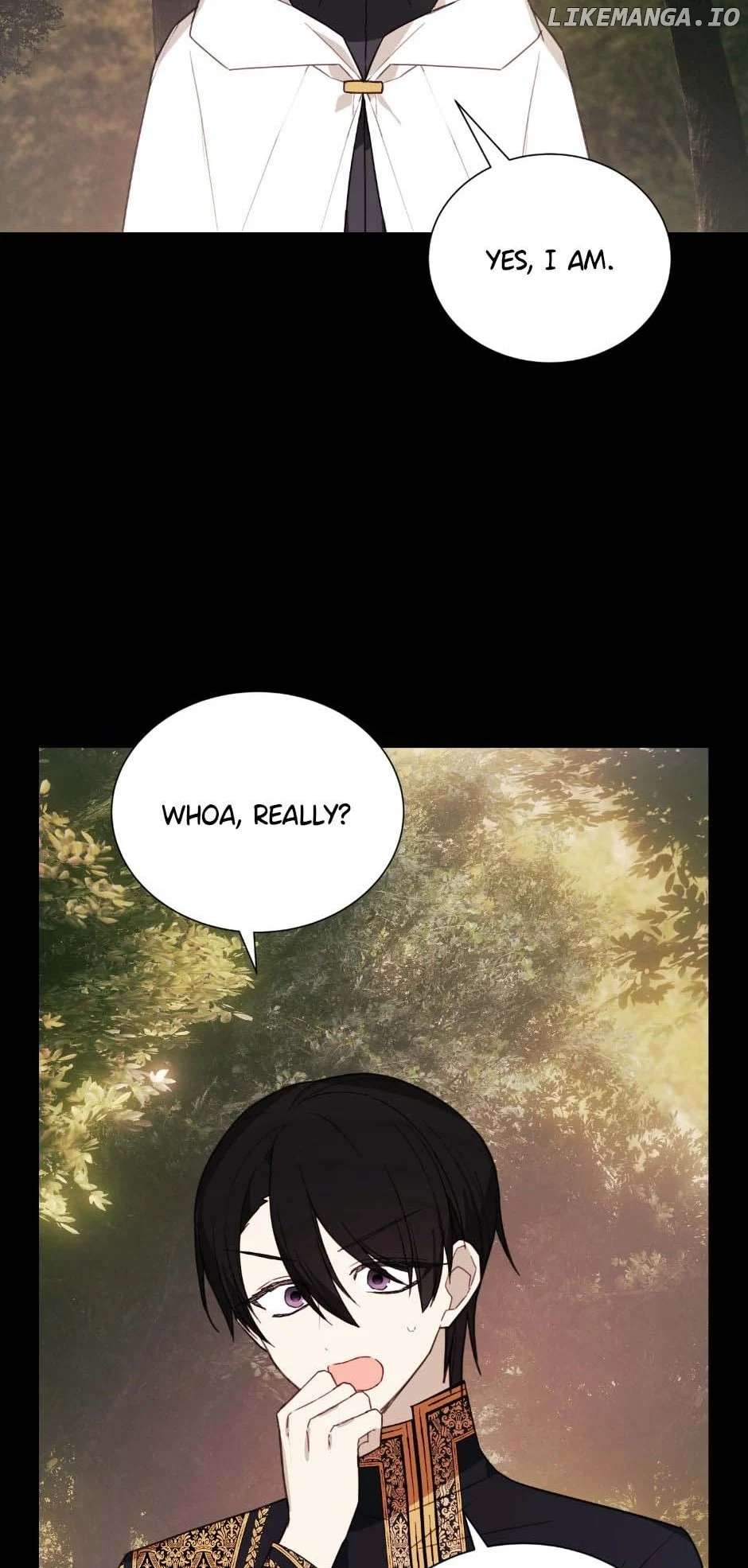 Manga Image
