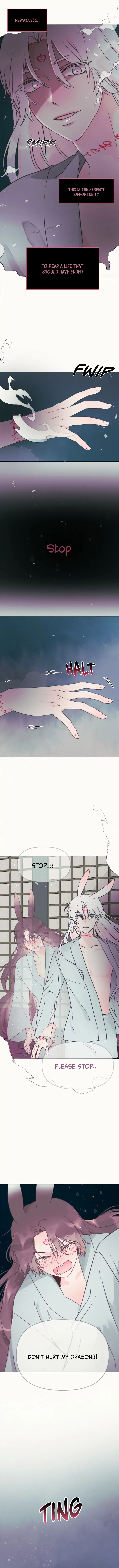 The Baby Dragon and the Rabbit Spirit Chapter 7 page 2