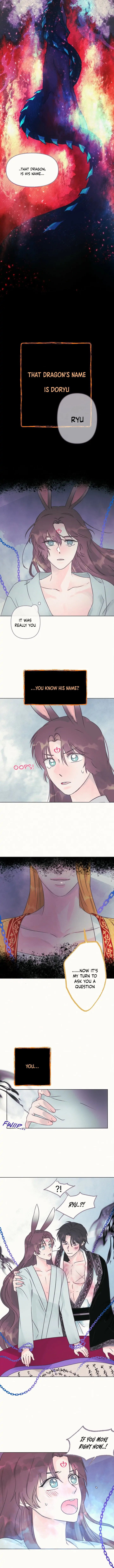 The Baby Dragon and the Rabbit Spirit Chapter 7 page 7