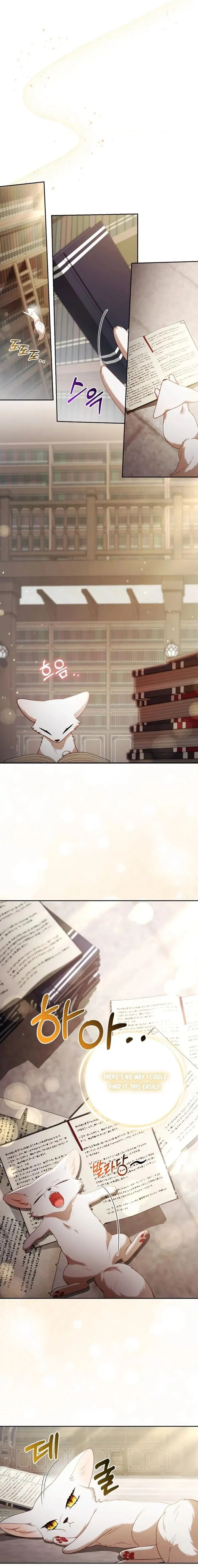 The Duke and The Fox Princess Chapter 18 page 5