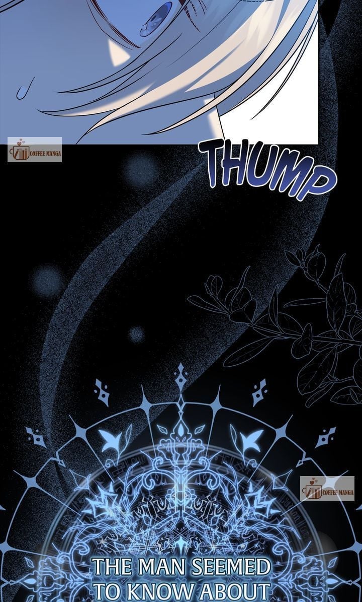 The Fairy Legacy Chapter 26 page 46