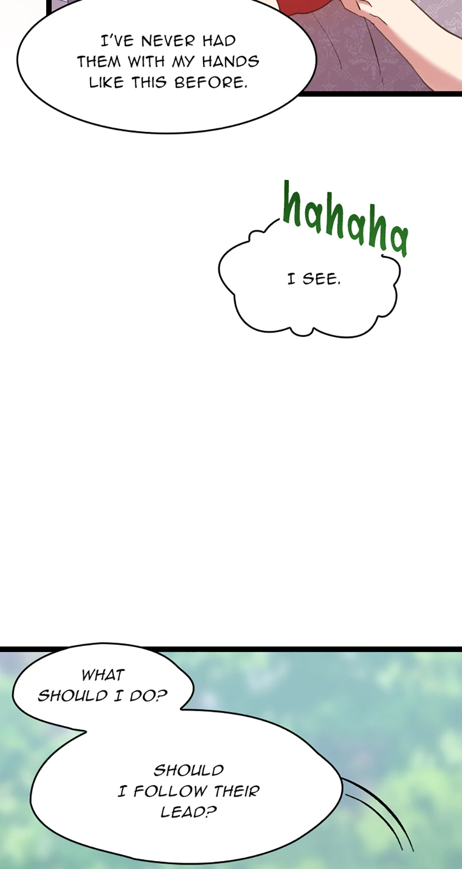 The Marquis and the Iron Wall Lady Chapter 19 page 17