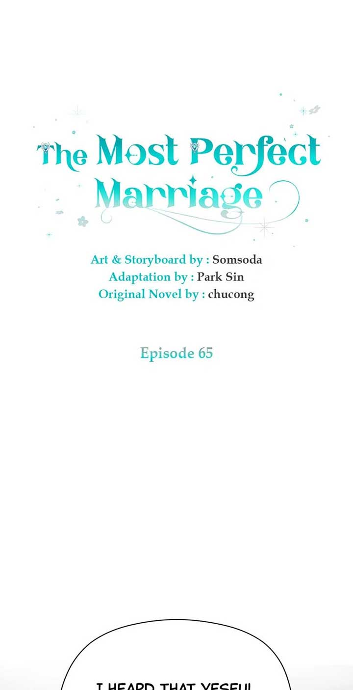 The Most Perfect Marriage Chapter 65 page 13