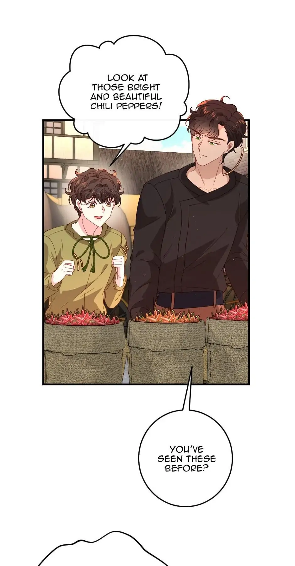 The Prince’s Personal Physician Chapter 12 page 33