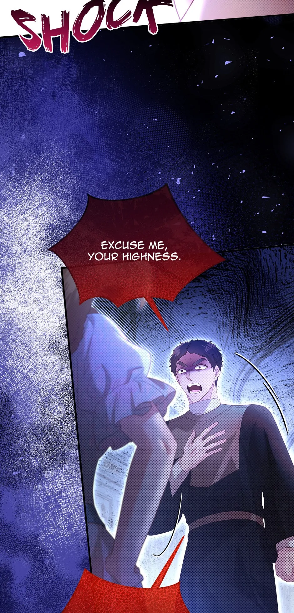 The Prince’s Personal Physician Chapter 63 page 11