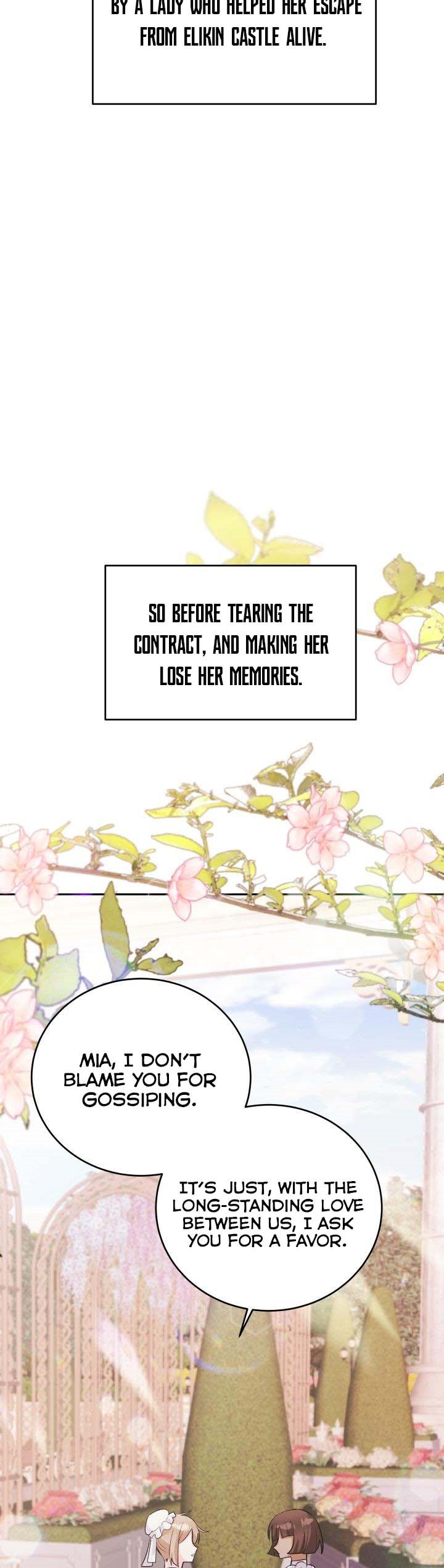 The Princess Reincarnation Chapter 11 page 19