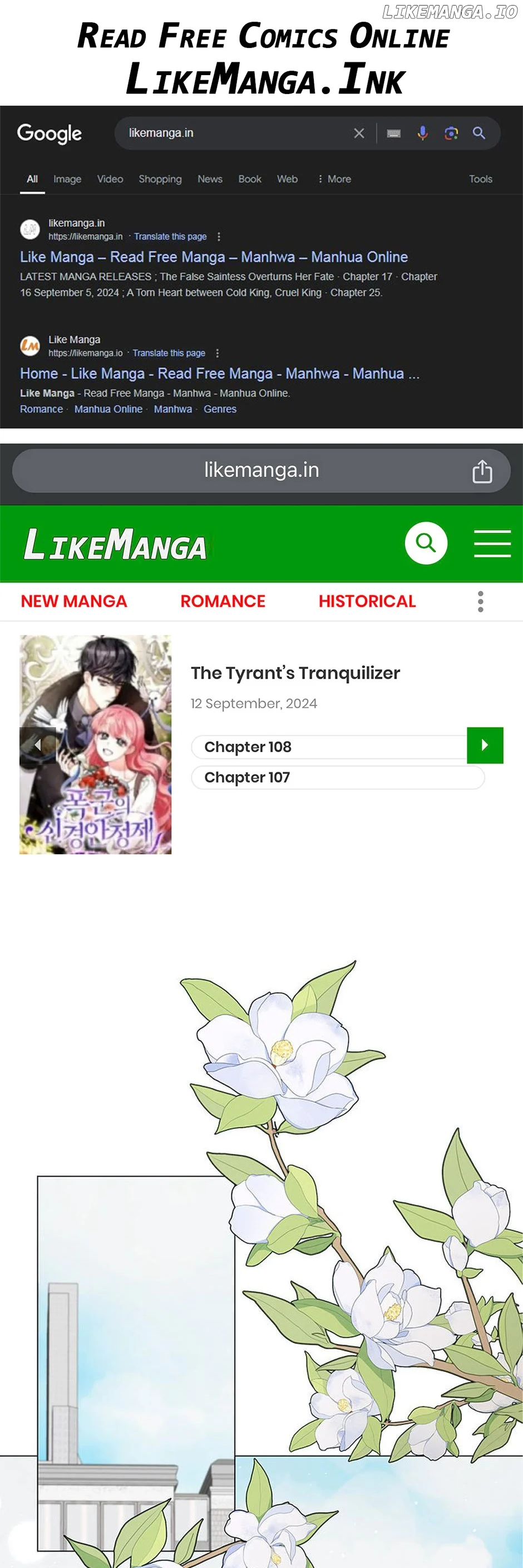 Manga Image